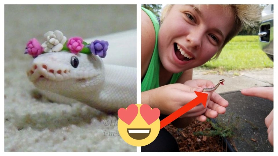 Děsí vás hadi? Už nebudou!